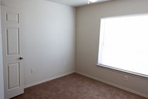 Photo #8